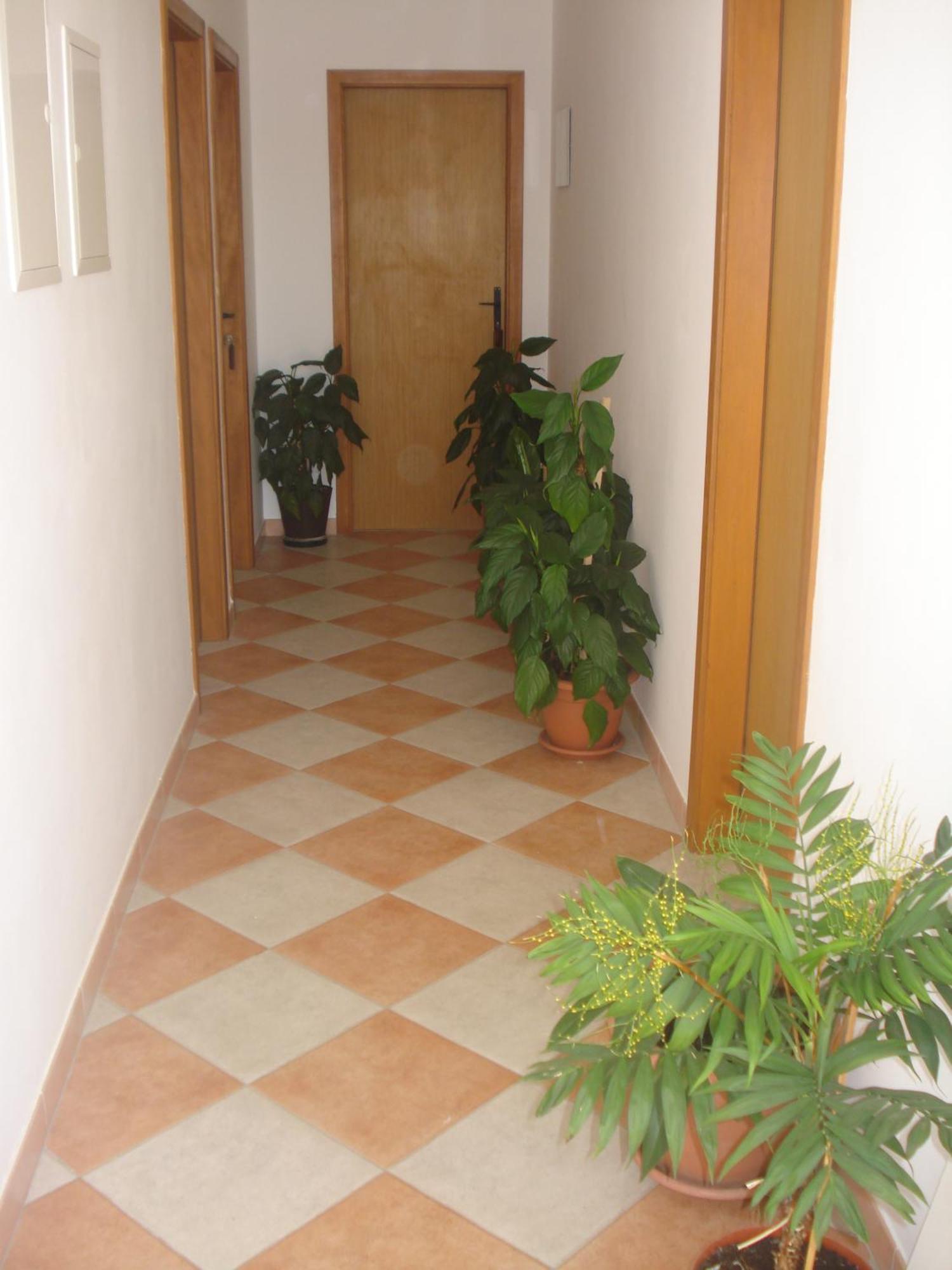 Apartments San Giorgio Sućuraj Exteriér fotografie